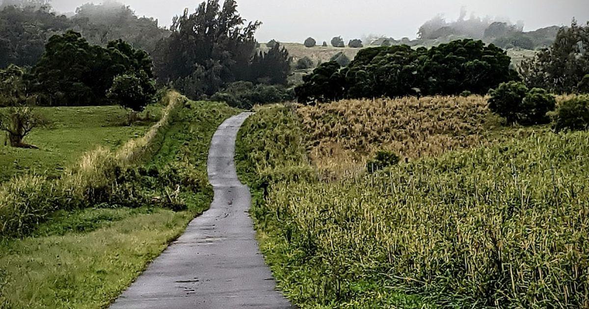 How to run A/B tests on Netlify