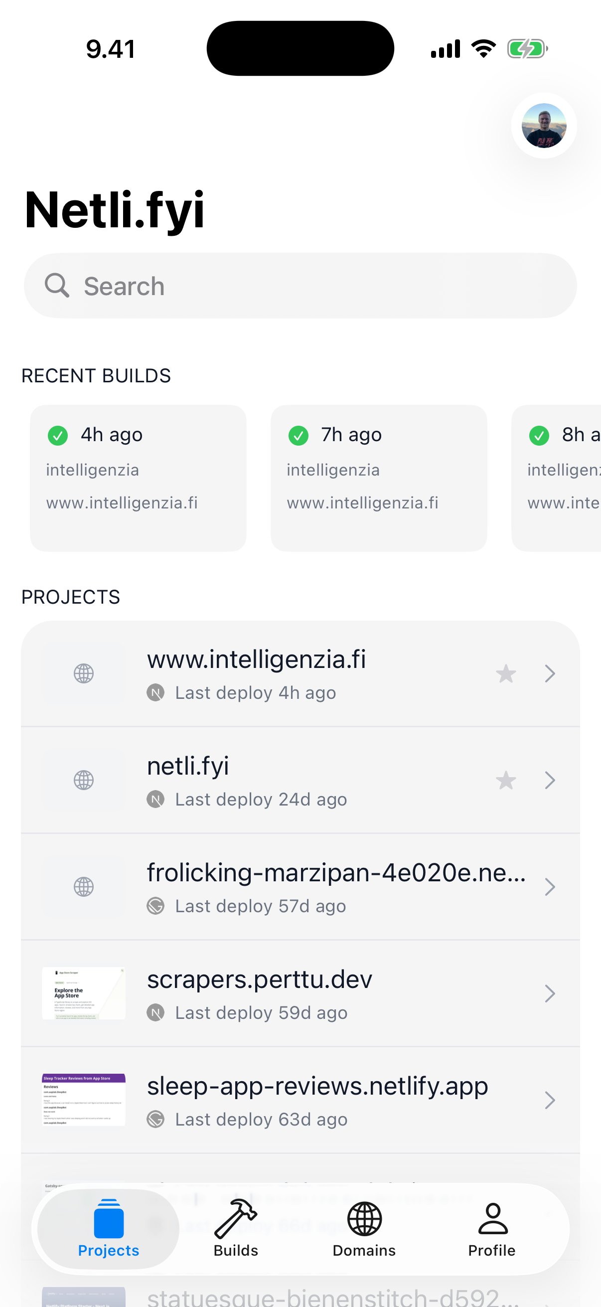 Netli.fyi app showing projects list in light mode